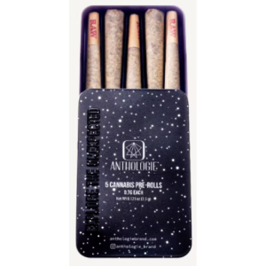 Anthologie Purple Milk Pre Roll 5pk 2.5g