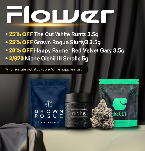 FLOWER-Mobile-Banner-480x500 8