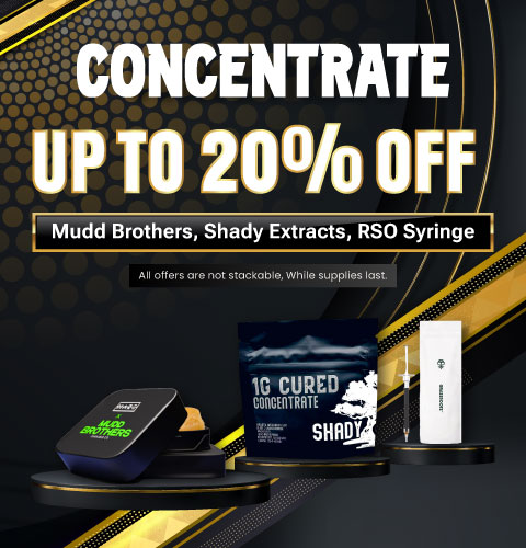 Noiré-Banner-Concentrate-480x500 3