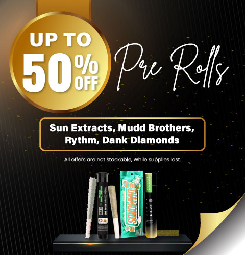 Noiré-Banner-Pre-Rolls-480x500 3