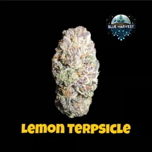 Lemon Terpsicle