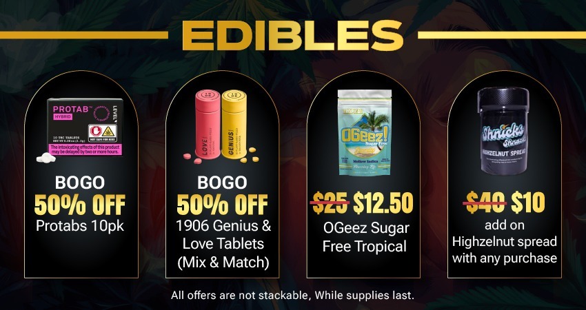 Banner 02(800x450)-100 1